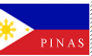 Philippine Flag