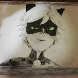 Chat noir 