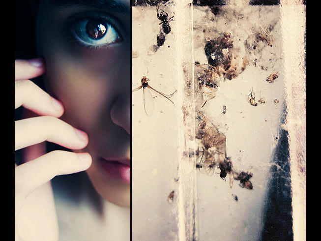 Entomophobia by hiimlucifer on DeviantArt