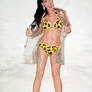 Katy Perry In A Leopard Bikini
