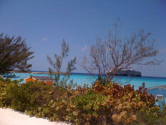 Bahamas View