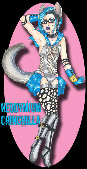 CA Seasonal Task 3: Neodymium Chinchilla