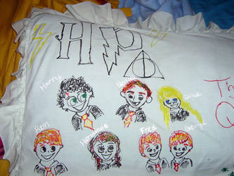 Harry Potter Pillowcase