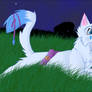 Silverstream