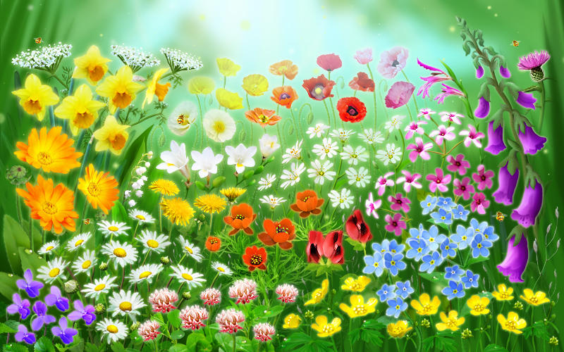 Spring Animation - 150 flowers by Powerzuul on DeviantArt