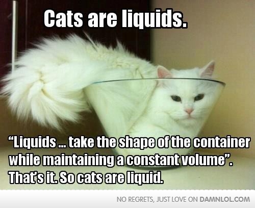 liquid