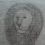 A Drawing of a Lion