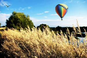 To fly in a balloon