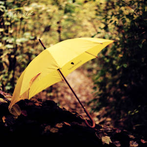 My Umbrella. by 6Artificial6