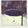 Umbrella-polaroid..