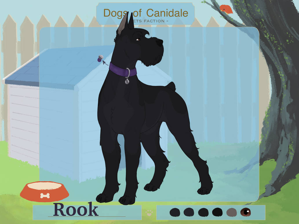 DoC | Rook by savorda on DeviantArt