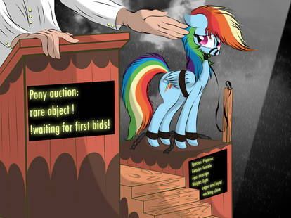 The price for dashie