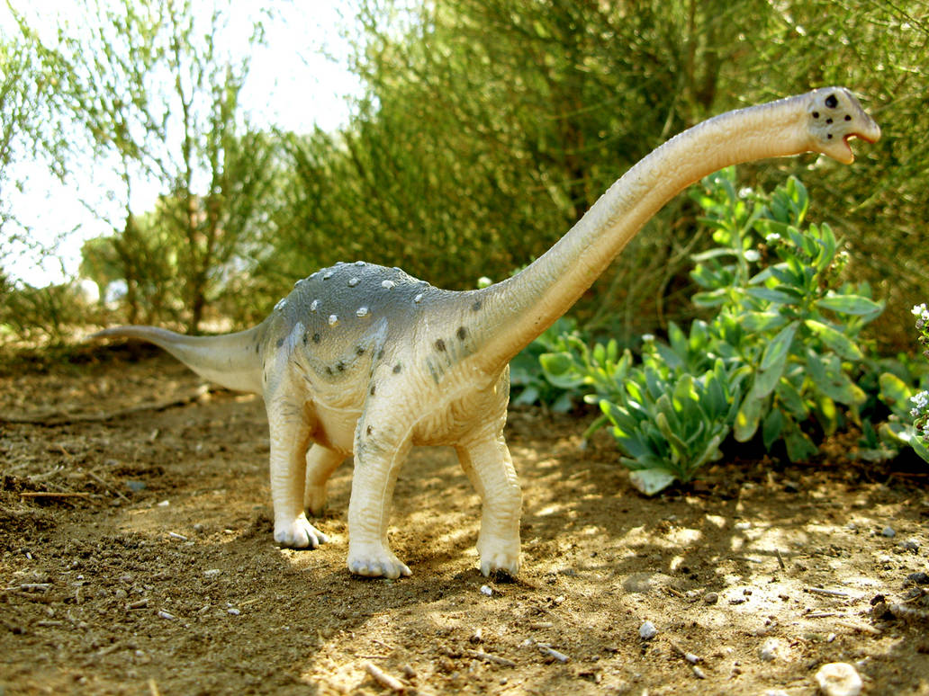 Saltasaurus (Carnegie) by Zero-Cannard on DeviantArt