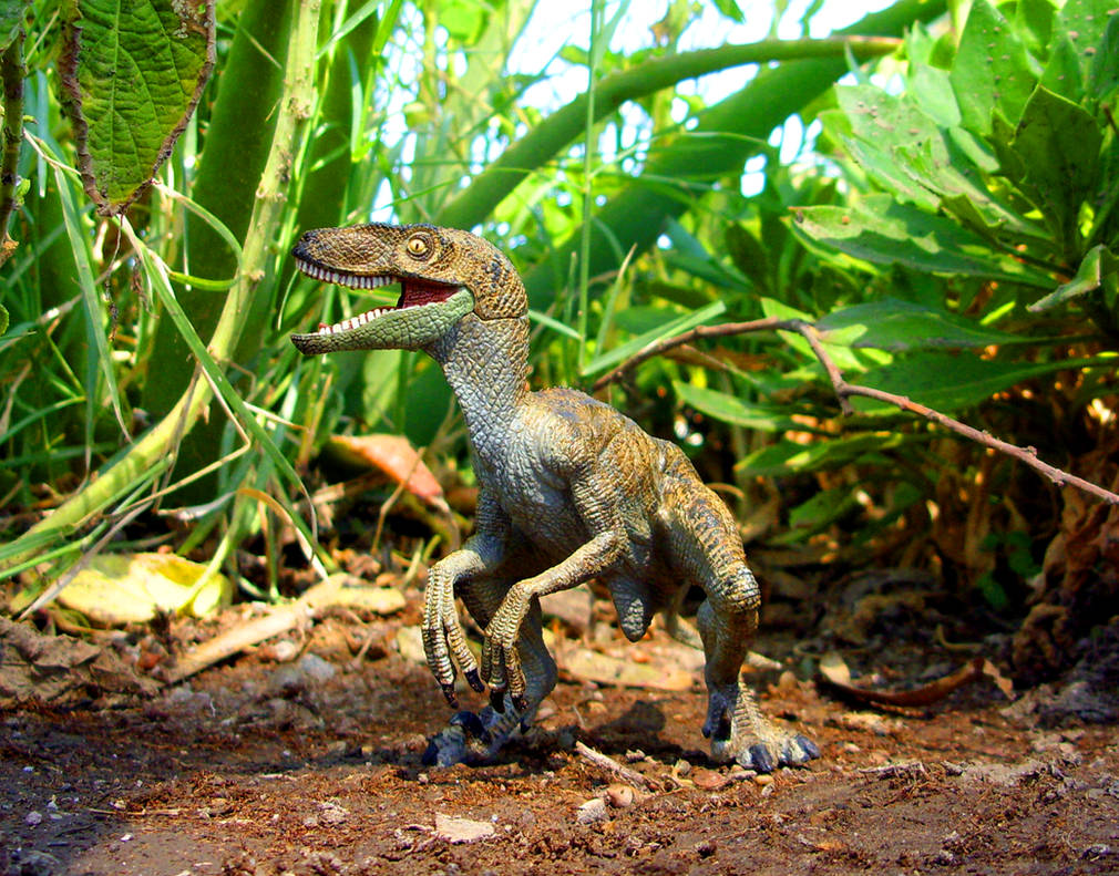 Velociraptor- Papo by Zero-Cannard on DeviantArt