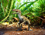 Velociraptor- Papo