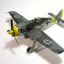 1/72 FW-190 F-8 VI