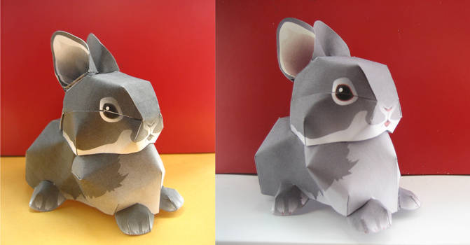 Rabbit PAPERCRAFT