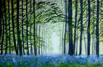 Bluebell wood by WendyMitchell