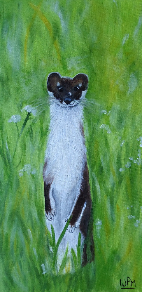 Weasel