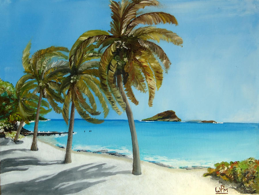 The beach at Glossy Bay by WendyMitchell The beach at Glossy Bay by WendyMitchell