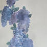 Blueberry vine