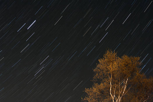 Star Trails