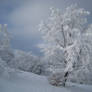 winterdream 2