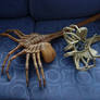 Facehuggers