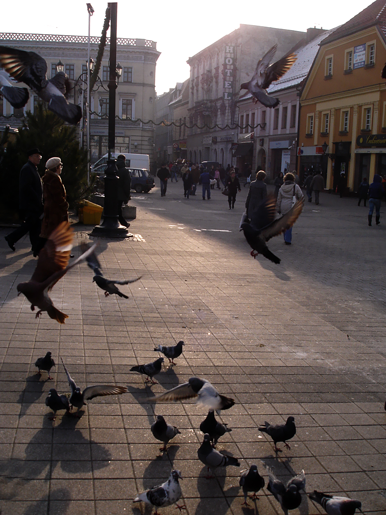 Old Market Rybnik