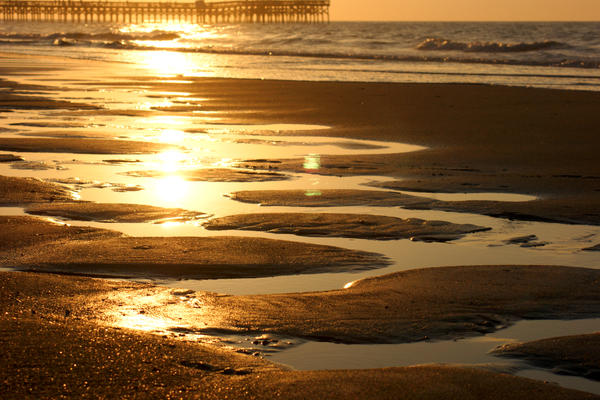 Golden Tidepools