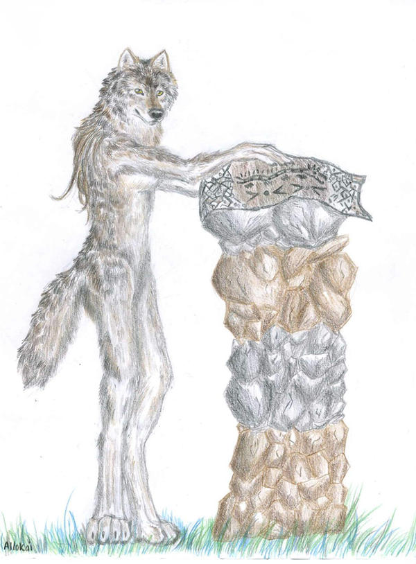 Deviantart Wolf Rug The Rug by Allokai on DeviantArt