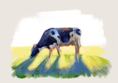 Grazing cow