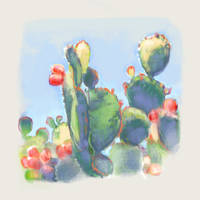 Cacti