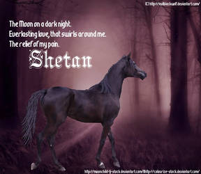 Shetan The Black