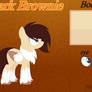 Dark Brownie Ref (ponysona)