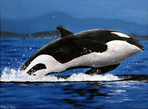 Leap of the Orca