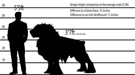 Kriege Height Comparison by SmexyHajiSan