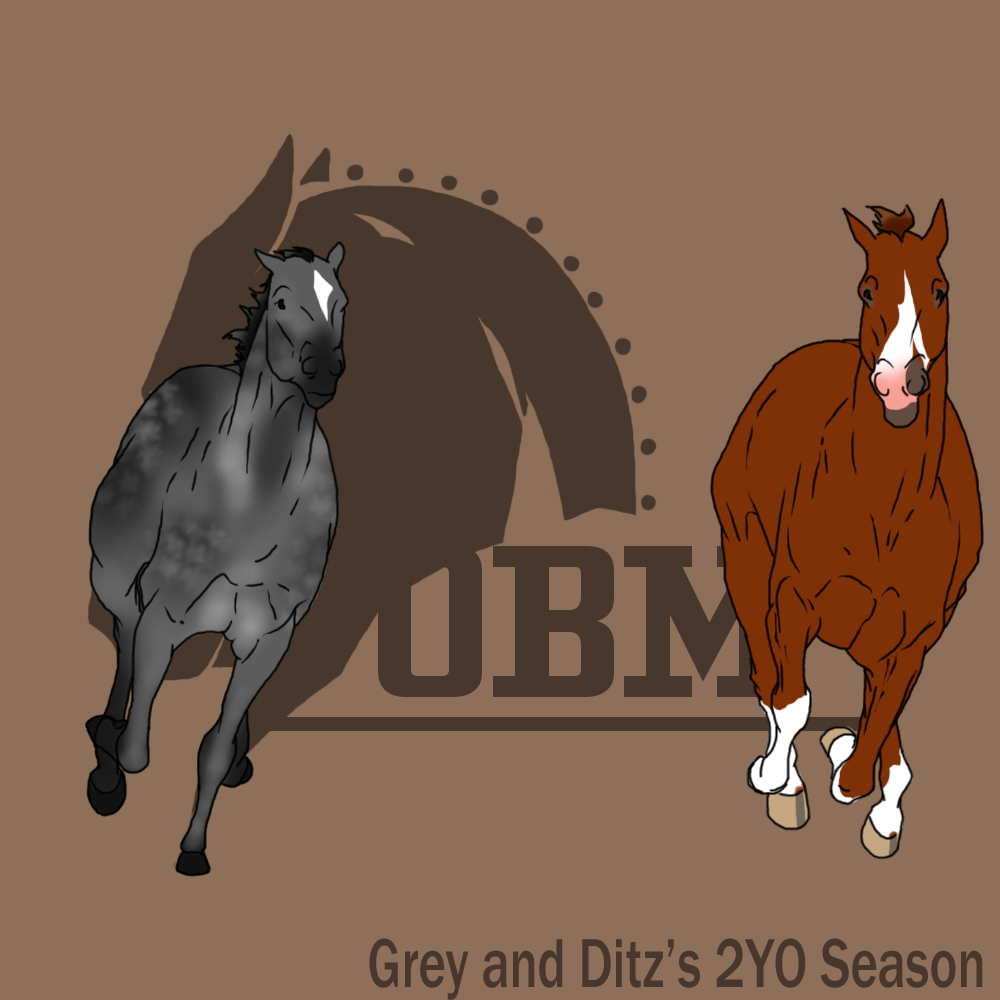 Girl Power - Grey/Ditz's 2YO Season