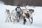 Reindeer Breeders' Day Celebrations by Ann-Rentgen Reindeer Breeders' Day Celebrations by Ann-Rentgen