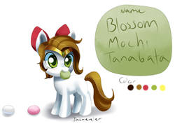 Filly Blossom reference and Bio