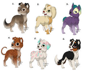 BAM! Free Adopts! [OPEN]