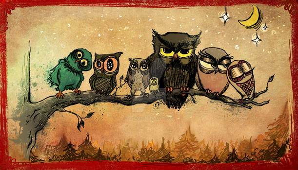 Midnight Owls