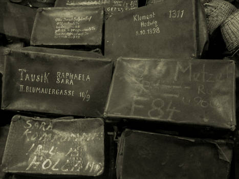 Auschwitz II: Suitcases