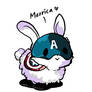 Captain America bunny