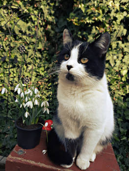 Remember To Stop And Smell The Flowers