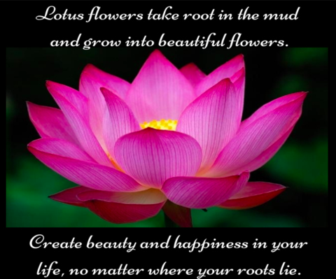 Lotus Flower Meaning Buddhism By Redrainbuddhaus On Deviantart