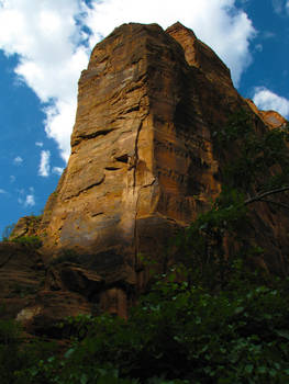 Zion National Park 11