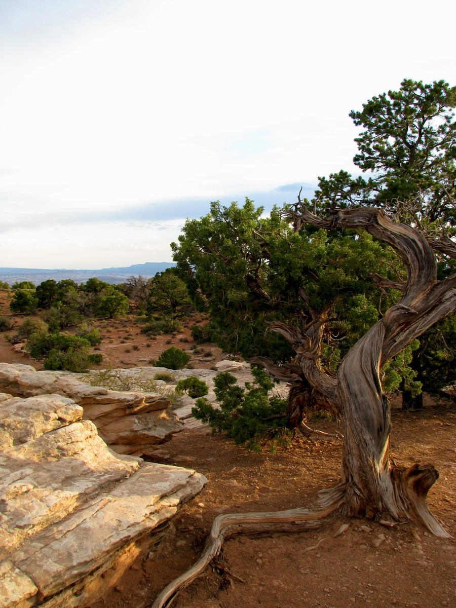 Canyonlands National Park 3