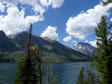 Grand Teton National Park 6