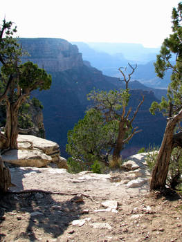 Grand Canyon National Park 12